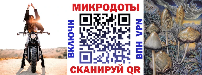 hydra зеркало Кисловодск Псилоцибиновые грибы Cubensis