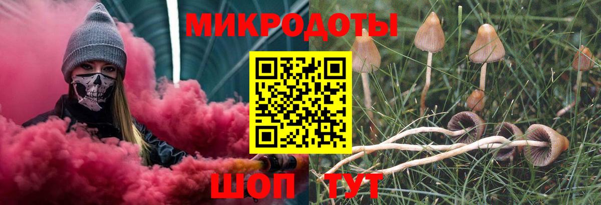 Галлюциногенные грибы мицелий  Вход с VPN  Кисловодск 