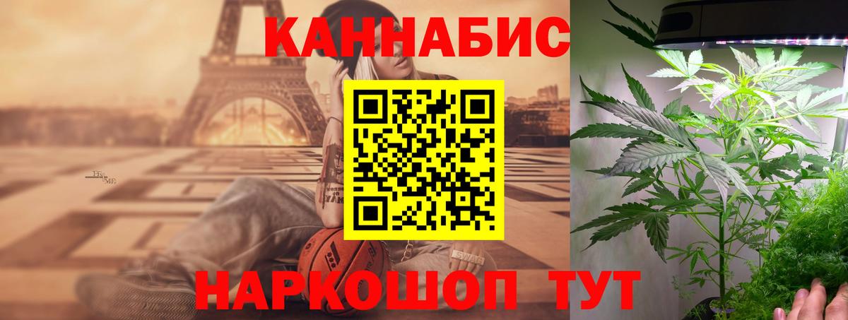 Бошки марихуана планчик  МАРИХУАНА White Widow  Кисловодск  Вход с VPN 